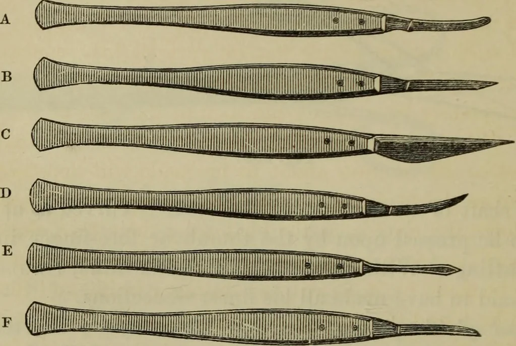 An illustration from A practical treatise on the use of the microscope, including the different methods of preparing and examining animal, vegetable, and mineral structures, 1848, leaf 359
