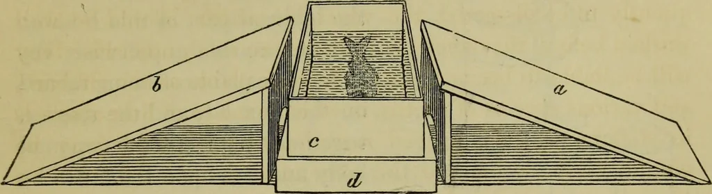 An illustration from A practical treatise on the use of the microscope, including the different methods of preparing and examining animal, vegetable, and mineral structures, 1848, leaf 366
