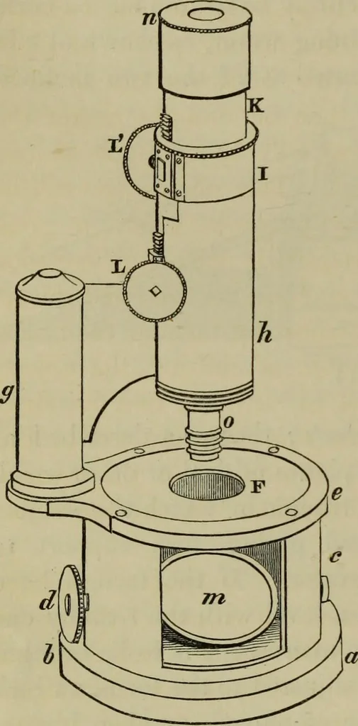 An illustration from A practical treatise on the use of the microscope, including the different methods of preparing and examining animal, vegetable, and mineral structures, 1848, leaf 367