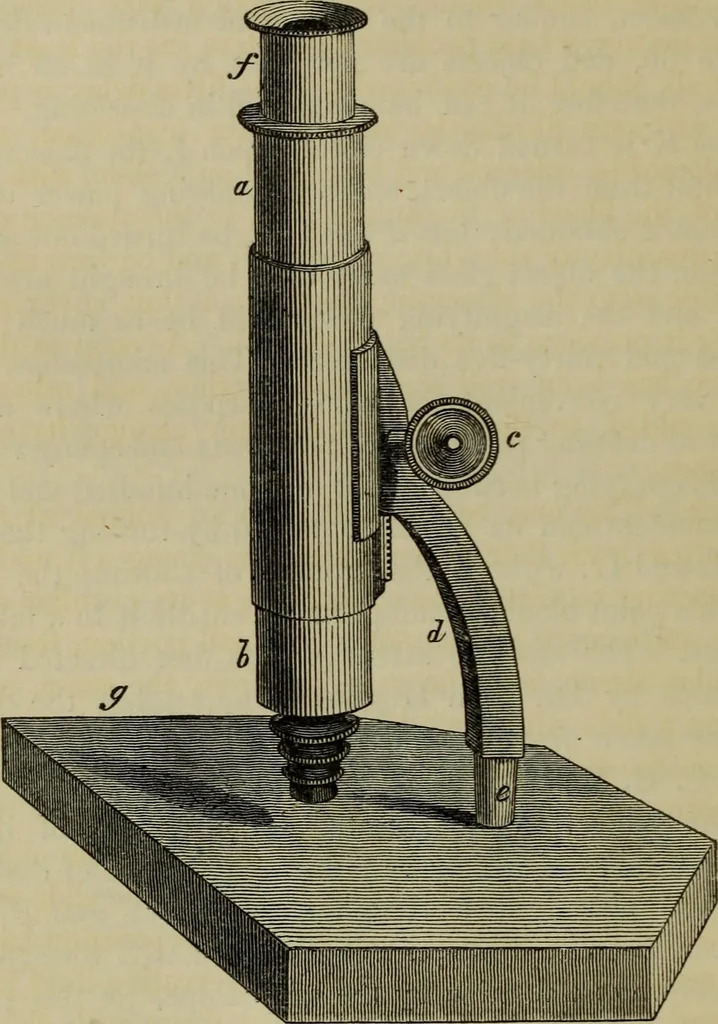 An illustration from A practical treatise on the use of the microscope, including the different methods of preparing and examining animal, vegetable, and mineral structures, 1848, leaf 369