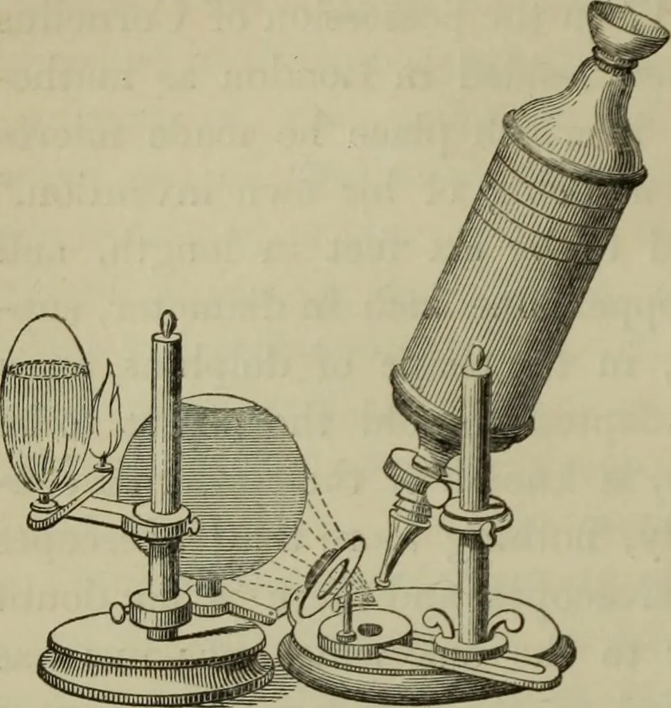 An illustration from A practical treatise on the use of the microscope, including the different methods of preparing and examining animal, vegetable, and mineral structures, 1848, leaf 39