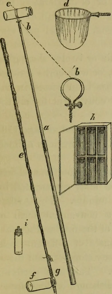An illustration from A practical treatise on the use of the microscope, including the different methods of preparing and examining animal, vegetable, and mineral structures, 1848, leaf 394