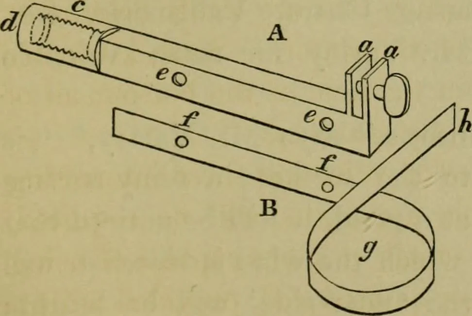 An illustration from A practical treatise on the use of the microscope, including the different methods of preparing and examining animal, vegetable, and mineral structures, 1848, leaf 394