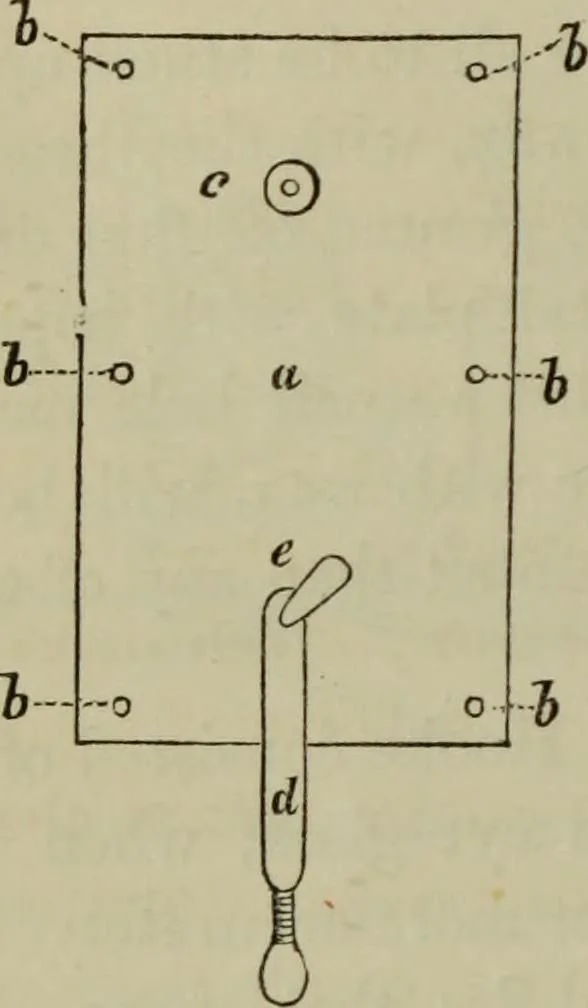 An illustration from A practical treatise on the use of the microscope, including the different methods of preparing and examining animal, vegetable, and mineral structures, 1848, leaf 41