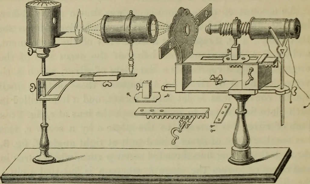 An illustration from A practical treatise on the use of the microscope, including the different methods of preparing and examining animal, vegetable, and mineral structures, 1848, leaf 43