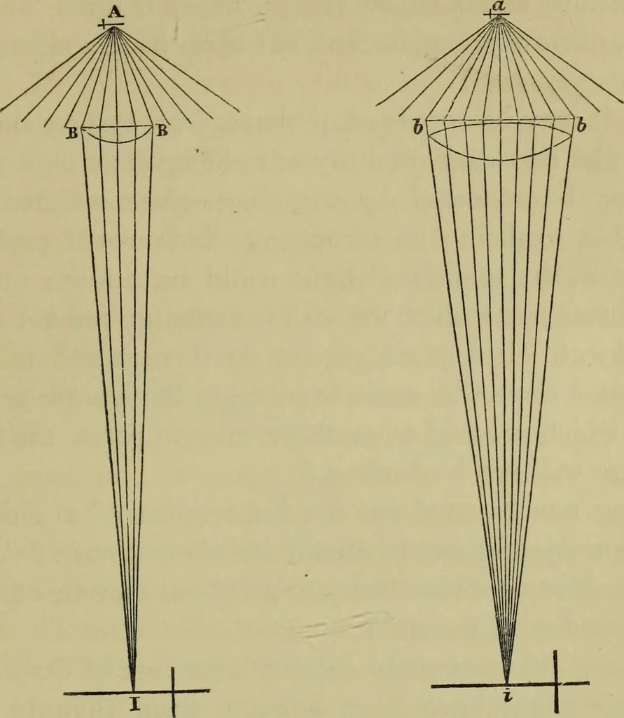 An illustration from A practical treatise on the use of the microscope, including the different methods of preparing and examining animal, vegetable, and mineral structures, 1848, leaf 468