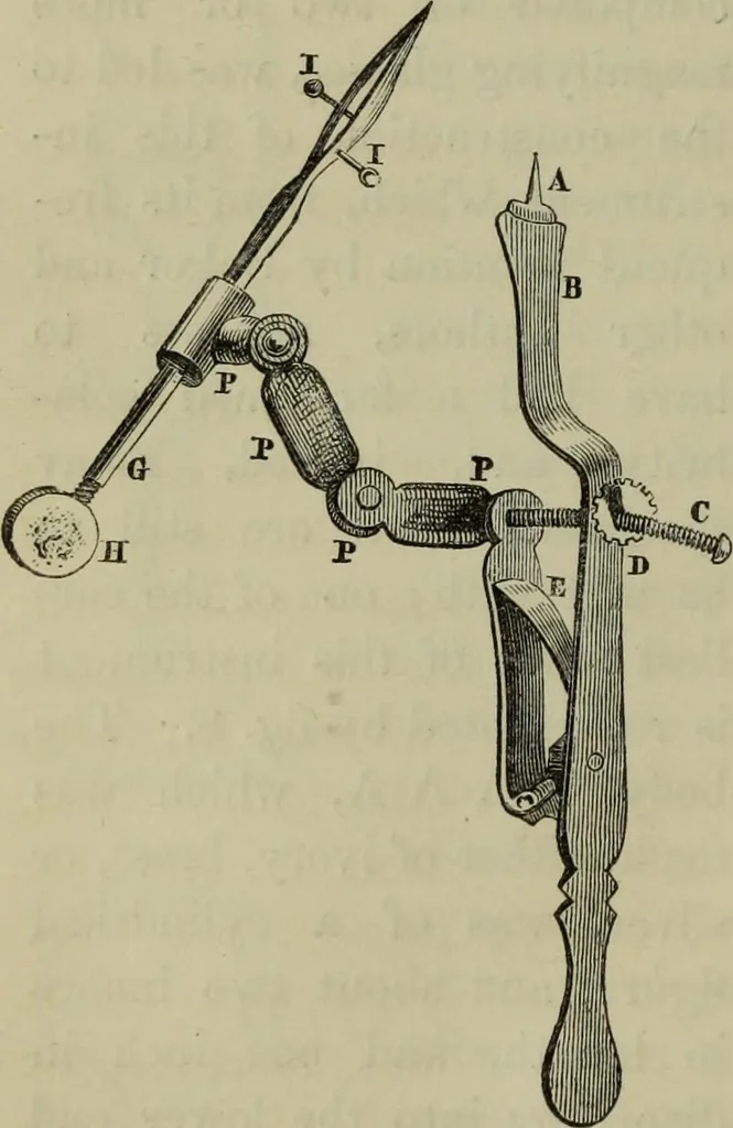 An illustration from A practical treatise on the use of the microscope, including the different methods of preparing and examining animal, vegetable, and mineral structures, 1848, leaf 47
