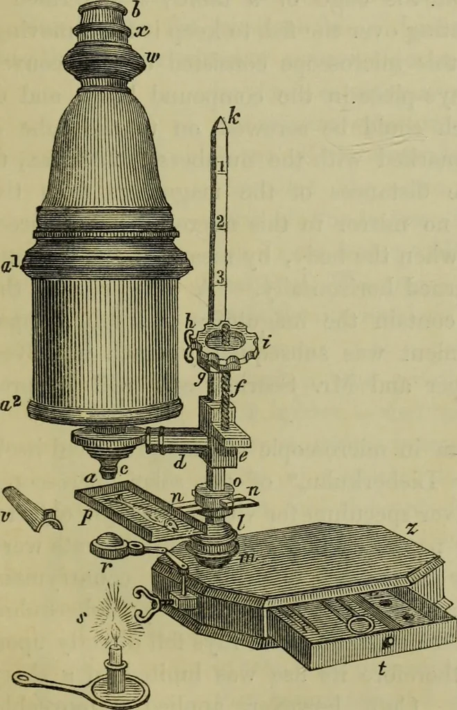 An illustration from A practical treatise on the use of the microscope, including the different methods of preparing and examining animal, vegetable, and mineral structures, 1848, leaf 48