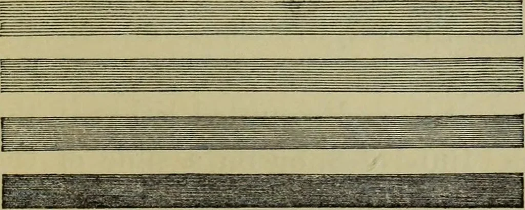 An illustration from A practical treatise on the use of the microscope, including the different methods of preparing and examining animal, vegetable, and mineral structures, 1848, leaf 482