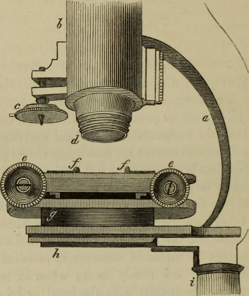 An illustration from A practical treatise on the use of the microscope, including the different methods of preparing and examining animal, vegetable, and mineral structures, 1848, leaf 493