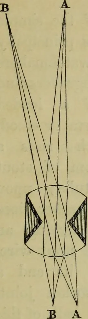 An illustration from A practical treatise on the use of the microscope, including the different methods of preparing and examining animal, vegetable, and mineral structures, 1848, leaf 84