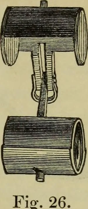 An illustration from A practical treatise on the use of the microscope, including the different methods of preparing and examining animal, vegetable, and mineral structures, 1848, leaf 84