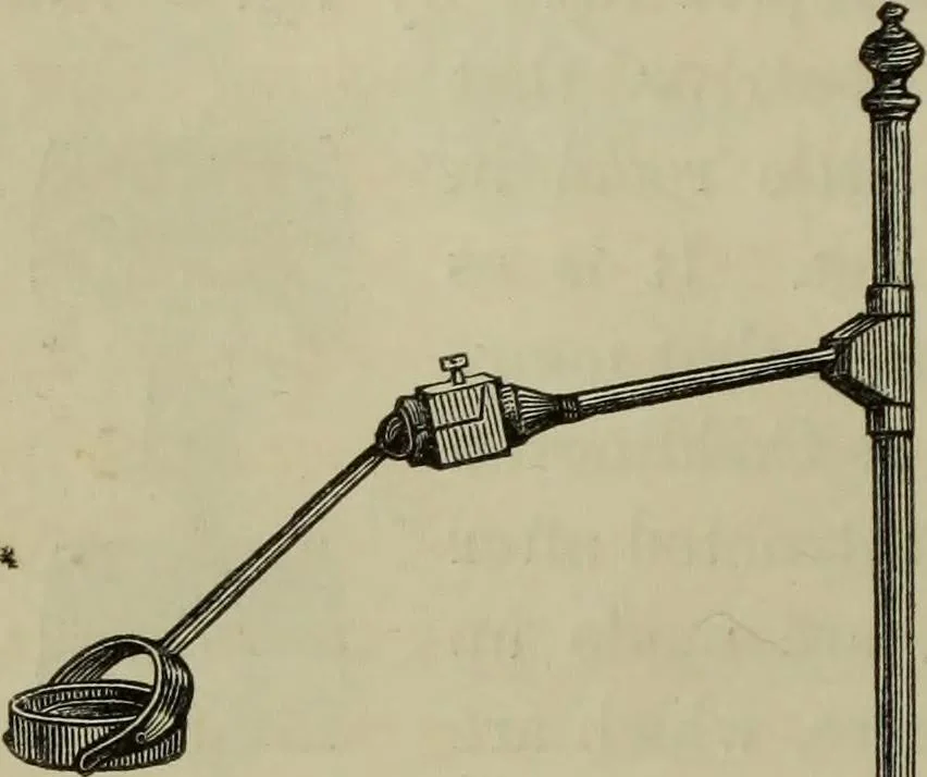 An illustration from A practical treatise on the use of the microscope, including the different methods of preparing and examining animal, vegetable, and mineral structures, 1848, leaf 85
