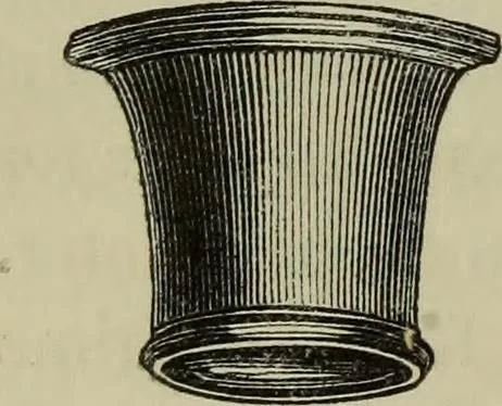 An illustration from A practical treatise on the use of the microscope, including the different methods of preparing and examining animal, vegetable, and mineral structures, 1848, leaf 85