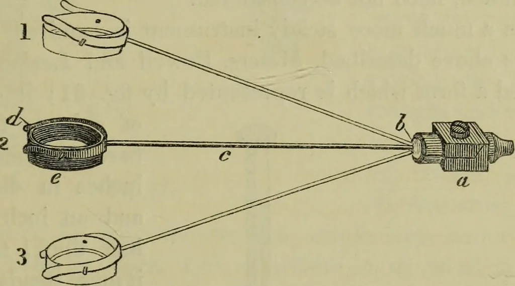 An illustration from A practical treatise on the use of the microscope, including the different methods of preparing and examining animal, vegetable, and mineral structures, 1848, leaf 86