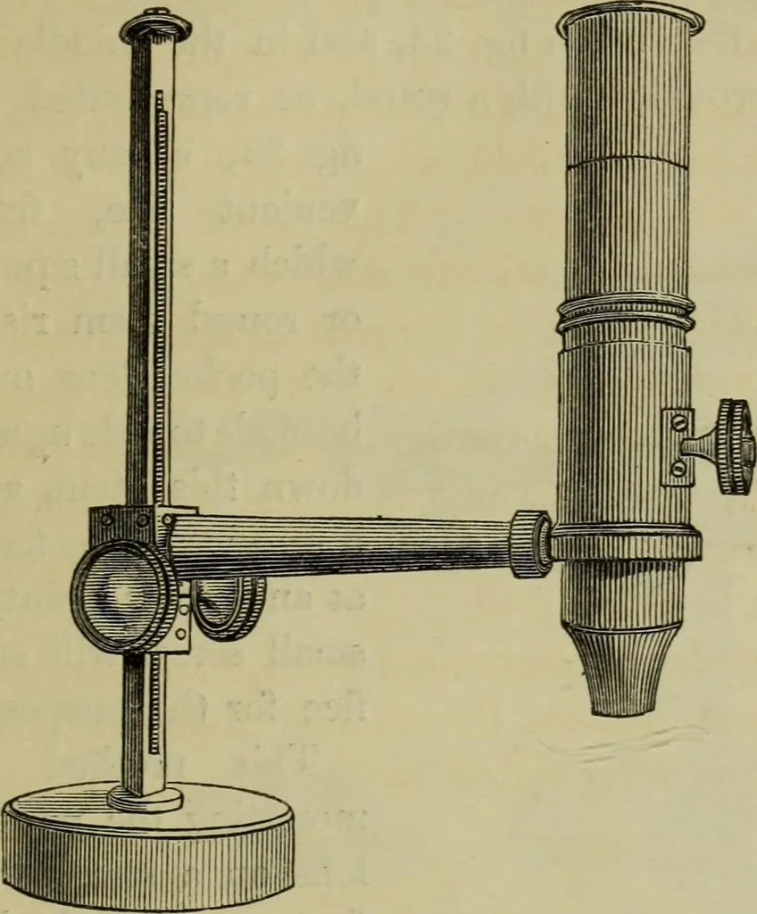 An illustration from A practical treatise on the use of the microscope, including the different methods of preparing and examining animal, vegetable, and mineral structures, 1848, leaf 88