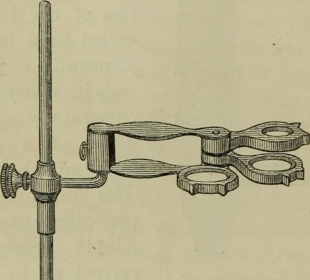 An illustration from A practical treatise on the use of the microscope, including the different methods of preparing and examining animal, vegetable, and mineral structures, 1848, leaf 89