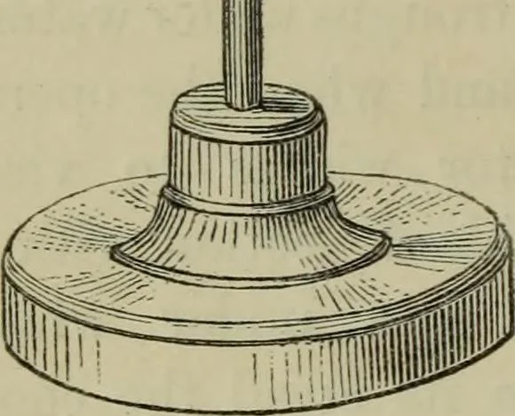 An illustration from A practical treatise on the use of the microscope, including the different methods of preparing and examining animal, vegetable, and mineral structures, 1848, leaf 89