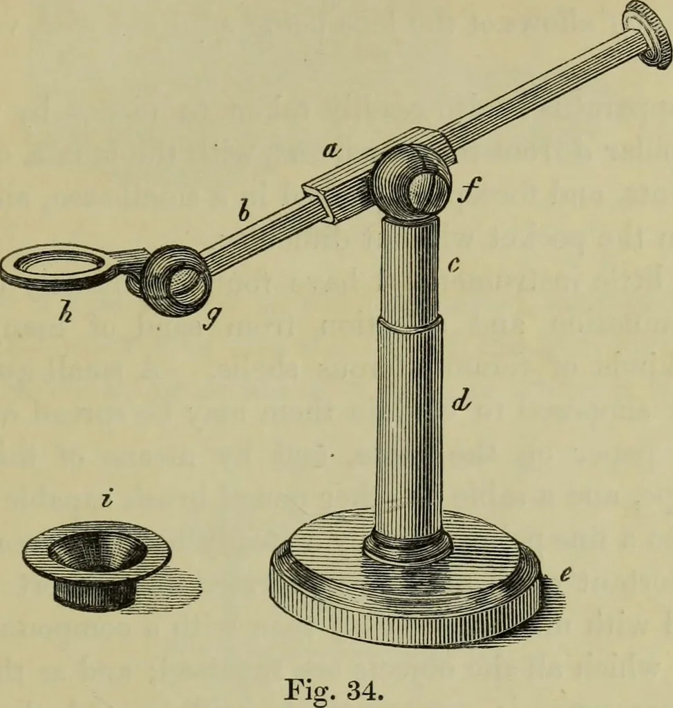 An illustration from A practical treatise on the use of the microscope, including the different methods of preparing and examining animal, vegetable, and mineral structures, 1848, leaf 90