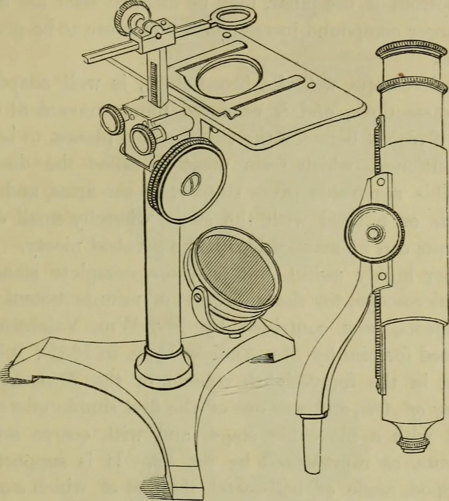 An illustration from A practical treatise on the use of the microscope, including the different methods of preparing and examining animal, vegetable, and mineral structures, 1848, leaf 94