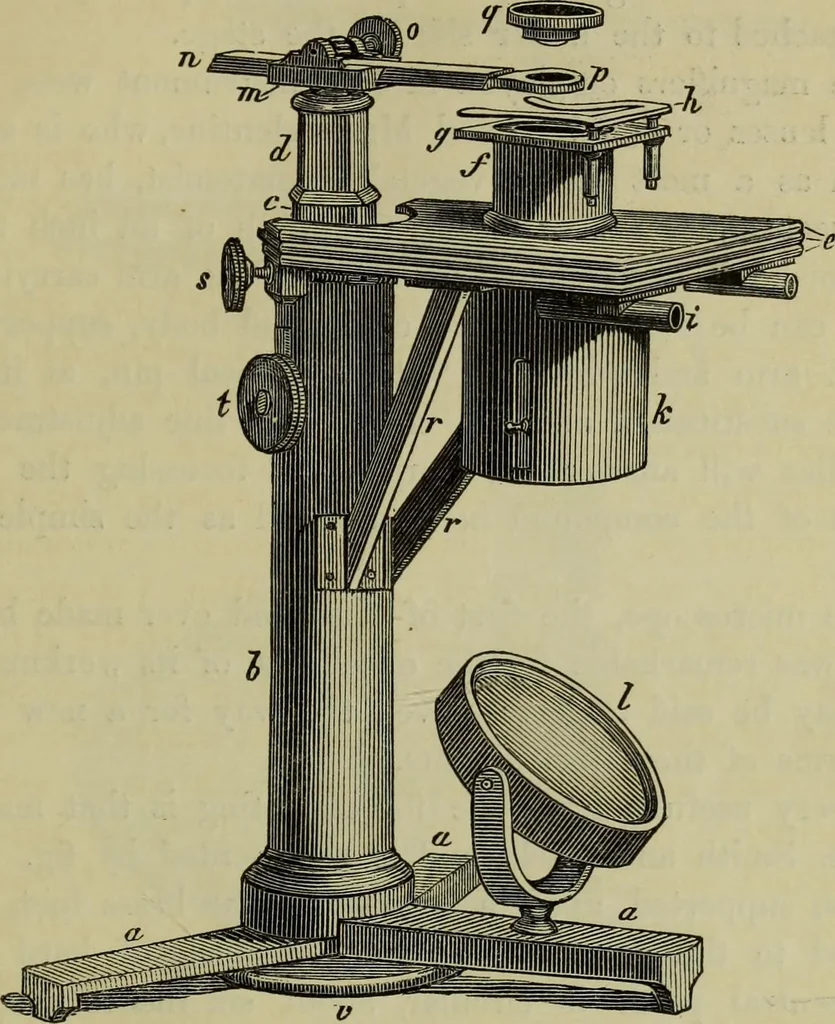 An illustration from A practical treatise on the use of the microscope, including the different methods of preparing and examining animal, vegetable, and mineral structures, 1848, leaf 96