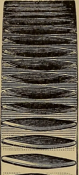 An illustration from Practical treatise on gearing, 1892, leaf 76