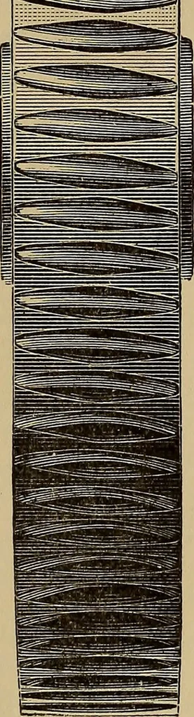 An illustration from Practical treatise on gearing, 1892, leaf 76