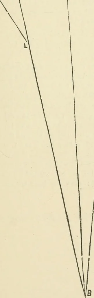 An illustration from A practical workshop companion for tin, sheet iron and copper plate workers : containing rules for describing various kinds of patterns used by tin, sheet iron and copper plate workers : practical geometry, mensuration of surfaces and solids, tables of the weights of metals, lead pipe, etc., tables of areas and circumferences of circles : japans, varnishes, lackers, cements, compositions, etc., etc., etc., 1876, leaf 24