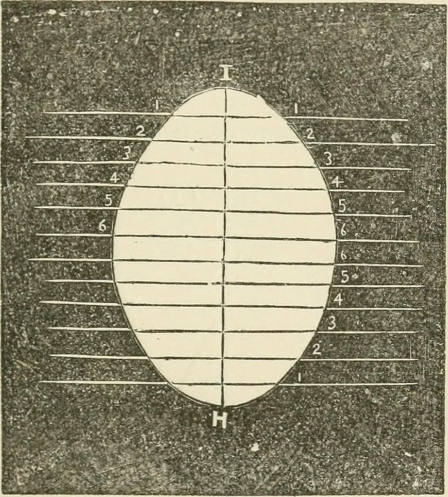 An illustration from A practical workshop companion for tin, sheet iron and copper plate workers : containing rules for describing various kinds of patterns used by tin, sheet iron and copper plate workers : practical geometry, mensuration of surfaces and solids, tables of the weights of metals, lead pipe, etc., tables of areas and circumferences of circles : japans, varnishes, lackers, cements, compositions, etc., etc., etc., 1876, leaf 86