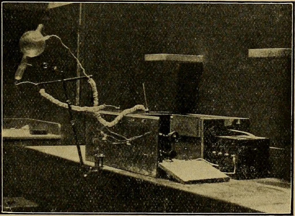 An illustration from Practical X ray work, 1901, leaf 168