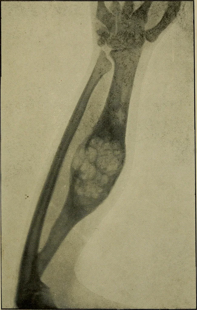 An illustration from Practical X ray work, 1901, leaf 196