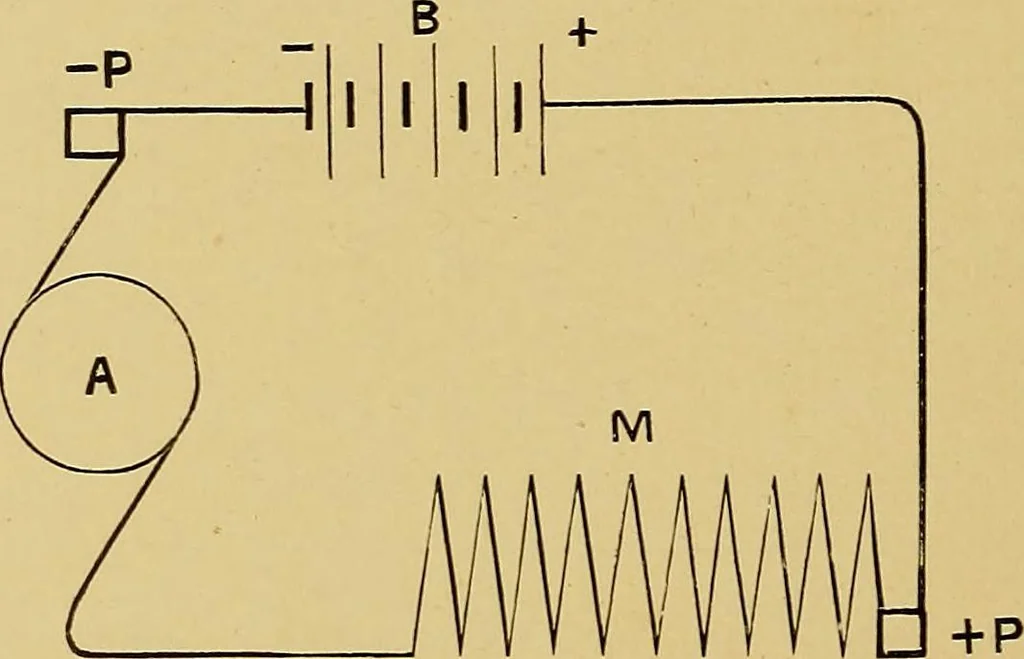 An illustration from Practical X ray work, 1901, leaf 63