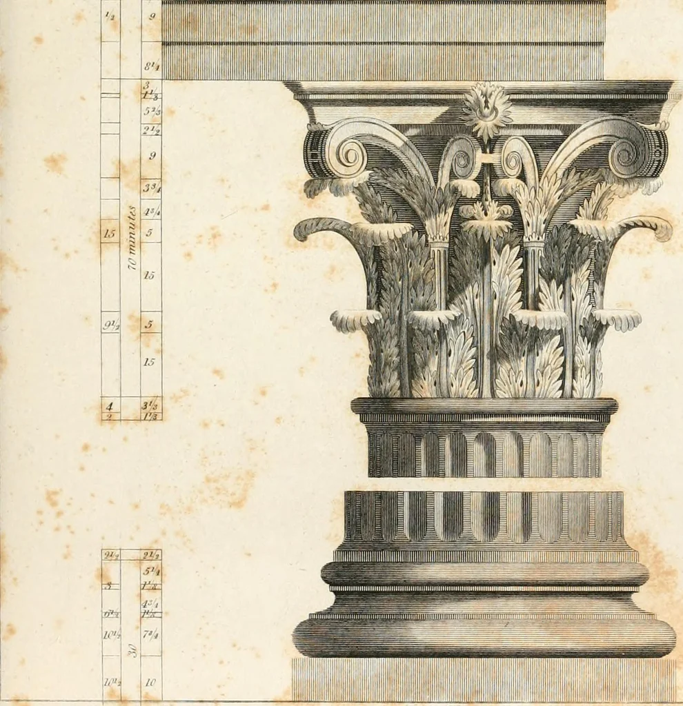 An illustration from Practice of architecture : containing the five orders of architecture and an additional column and entablature, with all their elements and details explained and illustrated, for the use of carpenters and practical men., 1835, leaf 106