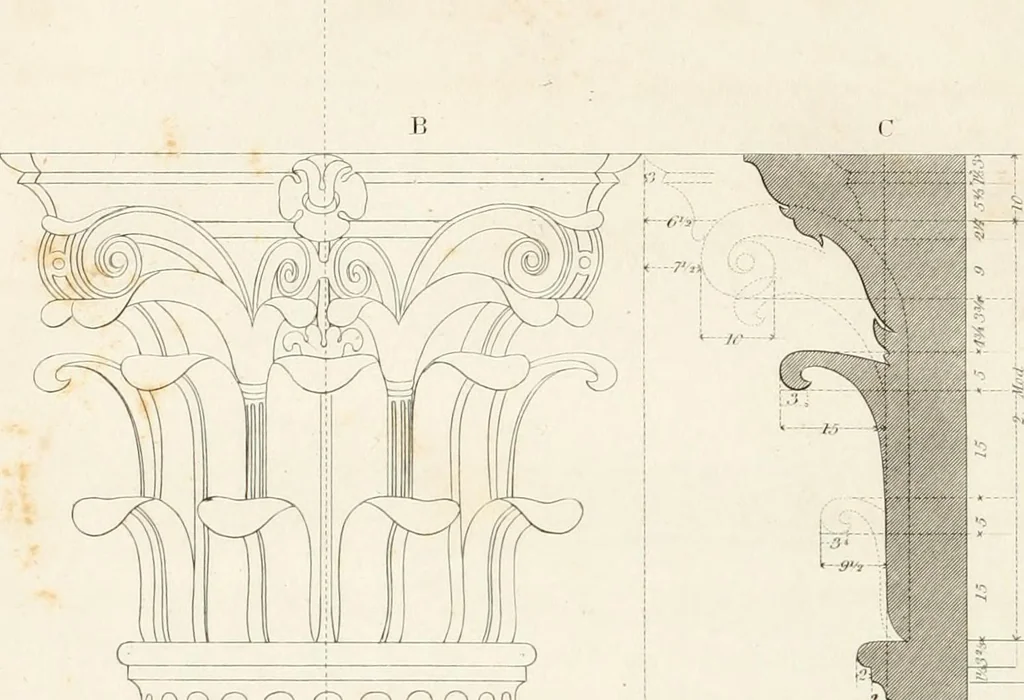 An illustration from Practice of architecture : containing the five orders of architecture and an additional column and entablature, with all their elements and details explained and illustrated, for the use of carpenters and practical men., 1835, leaf 109
