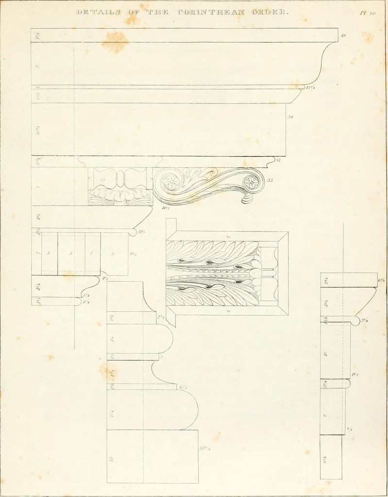 An illustration from Practice of architecture : containing the five orders of architecture and an additional column and entablature, with all their elements and details explained and illustrated, for the use of carpenters and practical men., 1835, leaf 112