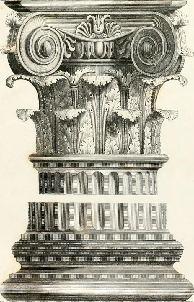 An illustration from Practice of architecture : containing the five orders of architecture and an additional column and entablature, with all their elements and details explained and illustrated, for the use of carpenters and practical men., 1835, leaf 116