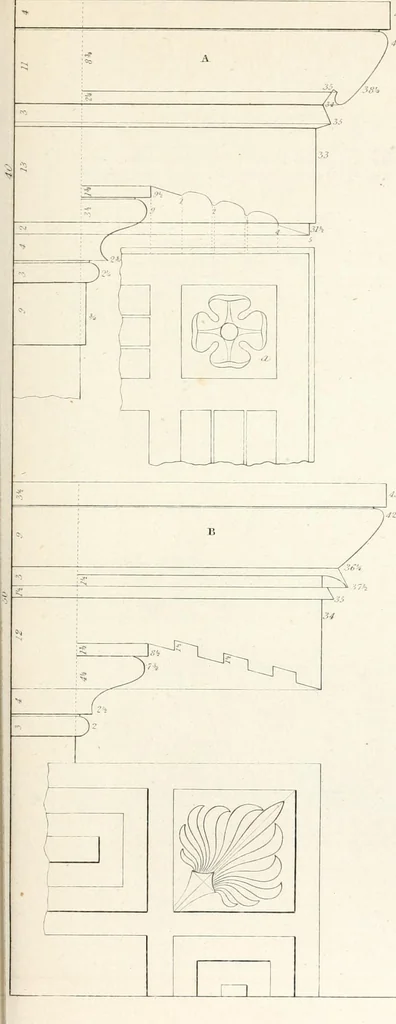 An illustration from Practice of architecture : containing the five orders of architecture and an additional column and entablature, with all their elements and details explained and illustrated, for the use of carpenters and practical men., 1835, leaf 156