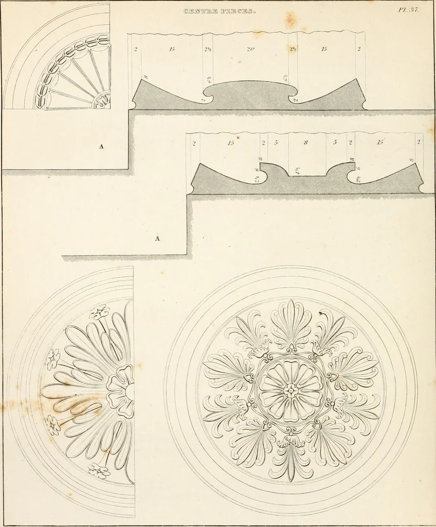 An illustration from Practice of architecture : containing the five orders of architecture and an additional column and entablature, with all their elements and details explained and illustrated, for the use of carpenters and practical men., 1835, leaf 165