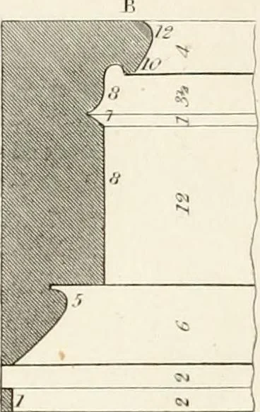 An illustration from Practice of architecture : containing the five orders of architecture and an additional column and entablature, with all their elements and details explained and illustrated, for the use of carpenters and practical men., 1835, leaf 189