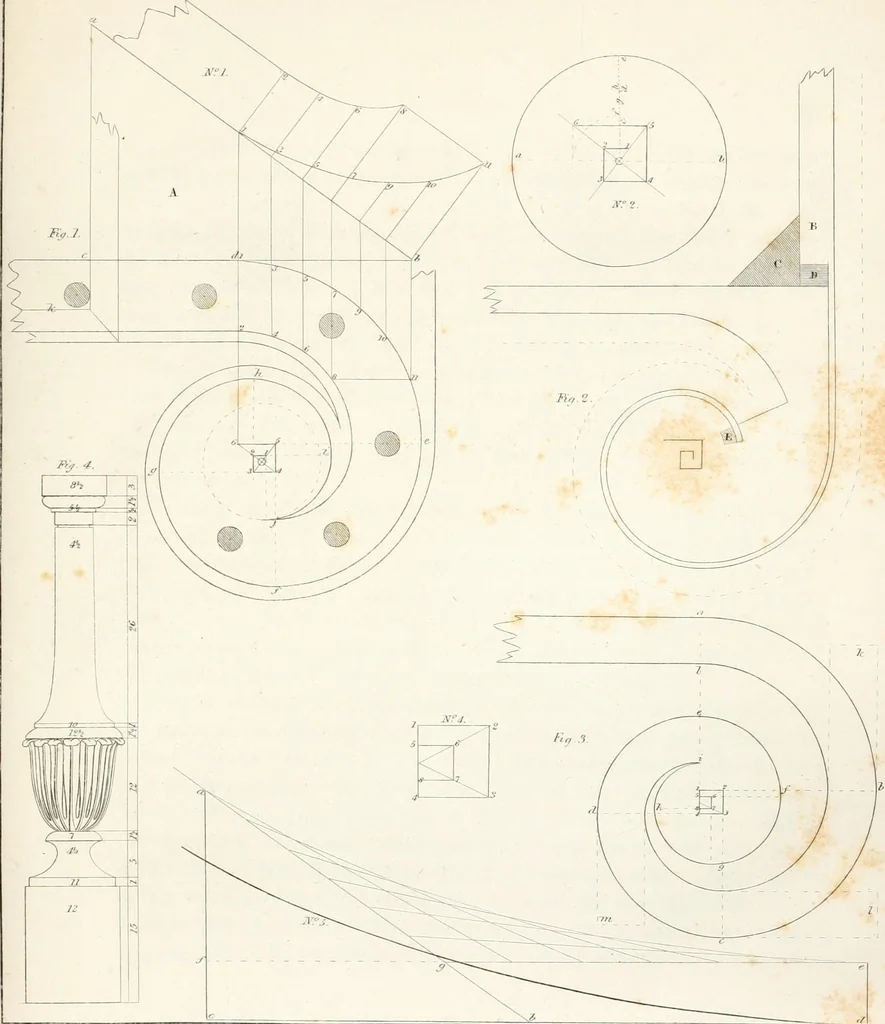 An illustration from Practice of architecture : containing the five orders of architecture and an additional column and entablature, with all their elements and details explained and illustrated, for the use of carpenters and practical men., 1835, leaf 202