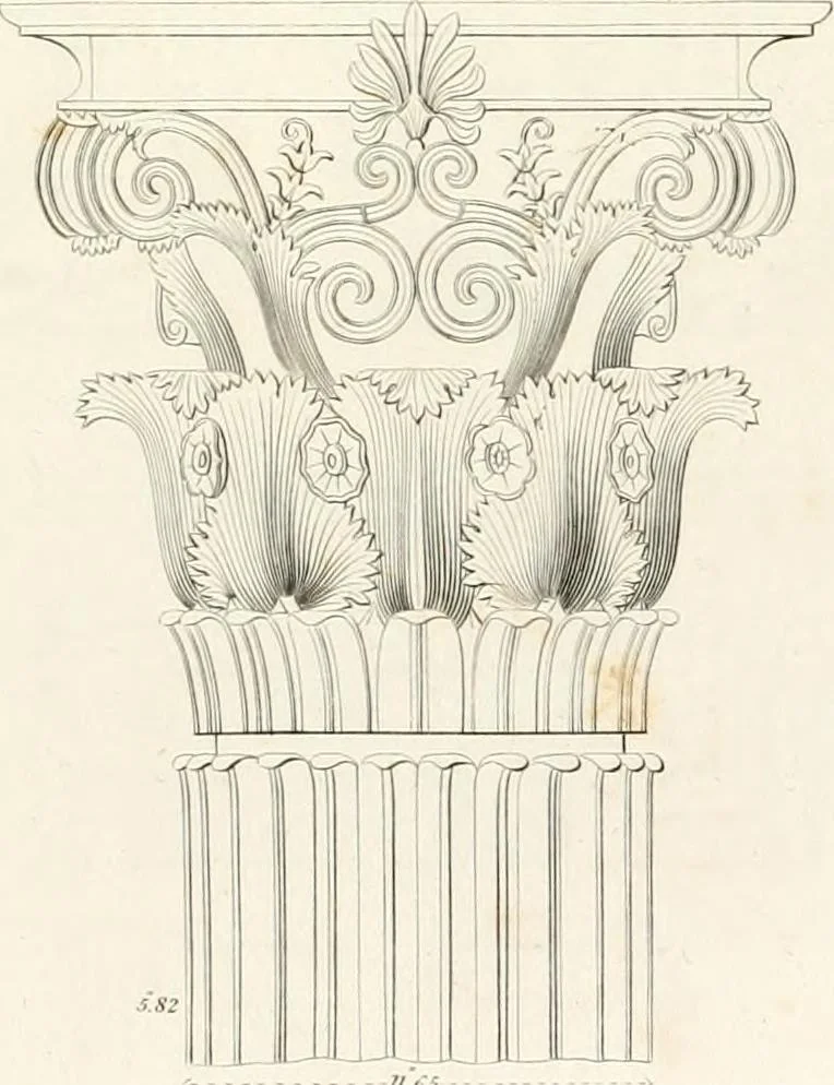 An illustration from Practice of architecture : containing the five orders of architecture and an additional column and entablature, with all their elements and details explained and illustrated, for the use of carpenters and practical men., 1835, leaf 244