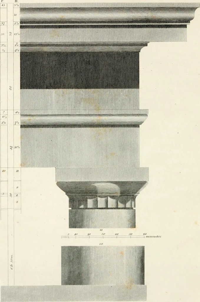 An illustration from Practice of architecture : containing the five orders of architecture and an additional column and entablature, with all their elements and details explained and illustrated, for the use of carpenters and practical men., 1835, leaf 47