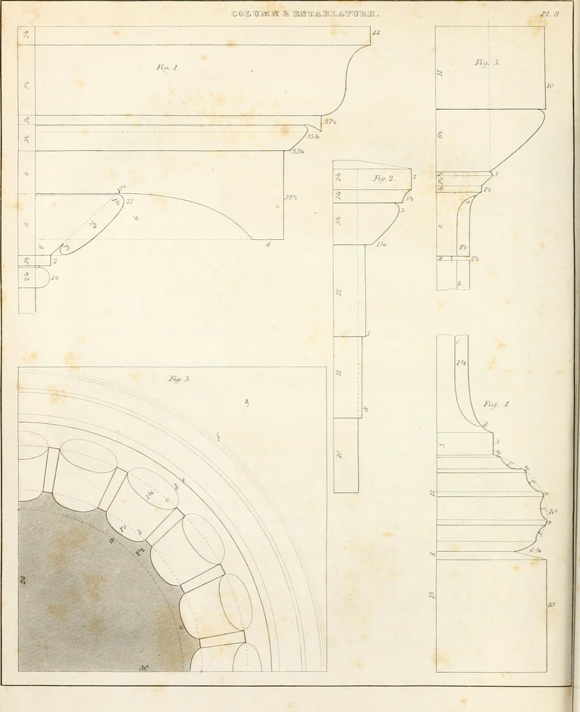 An illustration from Practice of architecture : containing the five orders of architecture and an additional column and entablature, with all their elements and details explained and illustrated, for the use of carpenters and practical men., 1835, leaf 61