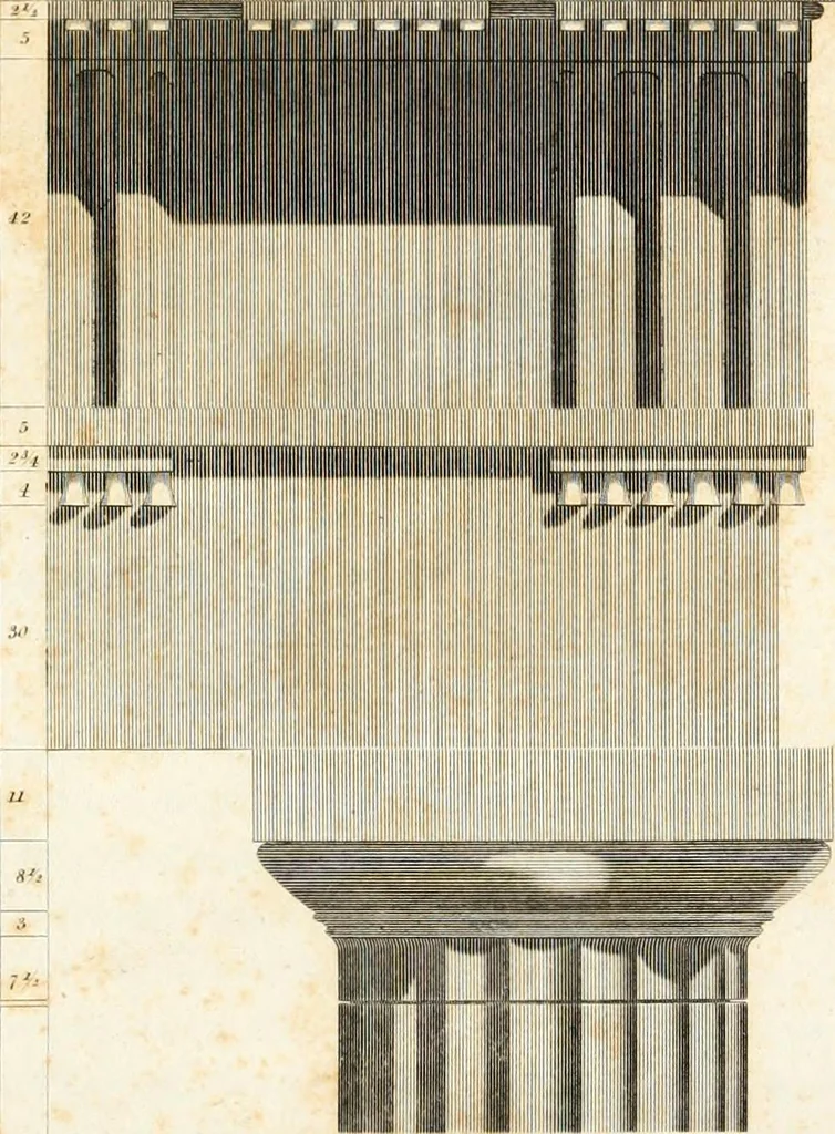 An illustration from Practice of architecture : containing the five orders of architecture and an additional column and entablature, with all their elements and details explained and illustrated, for the use of carpenters and practical men., 1835, leaf 64