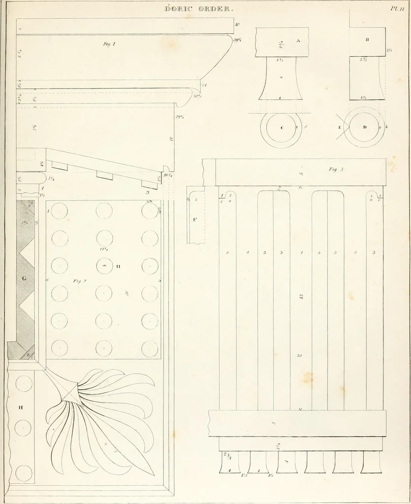 An illustration from Practice of architecture : containing the five orders of architecture and an additional column and entablature, with all their elements and details explained and illustrated, for the use of carpenters and practical men., 1835, leaf 78