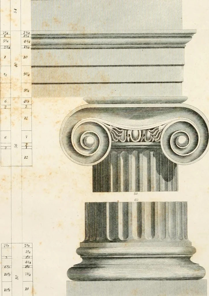 An illustration from Practice of architecture : containing the five orders of architecture and an additional column and entablature, with all their elements and details explained and illustrated, for the use of carpenters and practical men., 1835, leaf 81