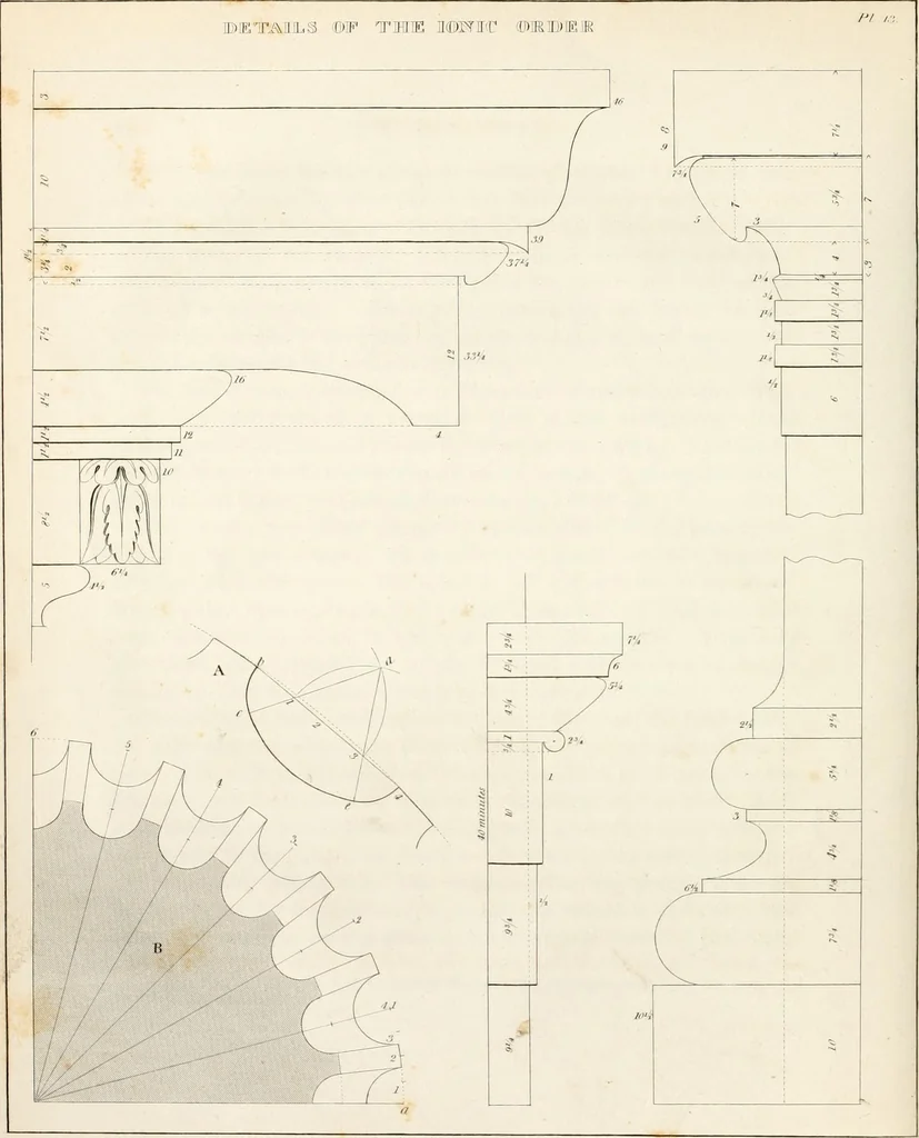 An illustration from Practice of architecture : containing the five orders of architecture and an additional column and entablature, with all their elements and details explained and illustrated, for the use of carpenters and practical men., 1835, leaf 89