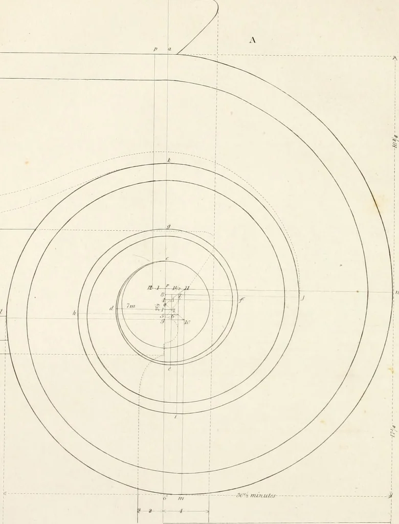 An illustration from Practice of architecture : containing the five orders of architecture and an additional column and entablature, with all their elements and details explained and illustrated, for the use of carpenters and practical men., 1835, leaf 97