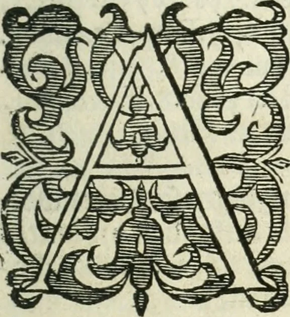 An illustration from Practycke der Nederlansche rechten, van de daghelijcksche soo civile als criminele questien, 1645, leaf 10