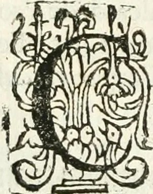 An illustration from Practycke der Nederlansche rechten, van de daghelijcksche soo civile als criminele questien, 1645, leaf 125